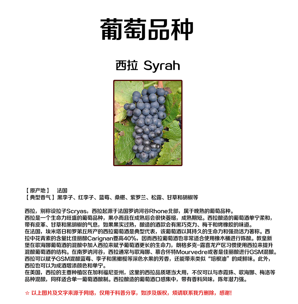 亚洲人午夜射精精品日韩