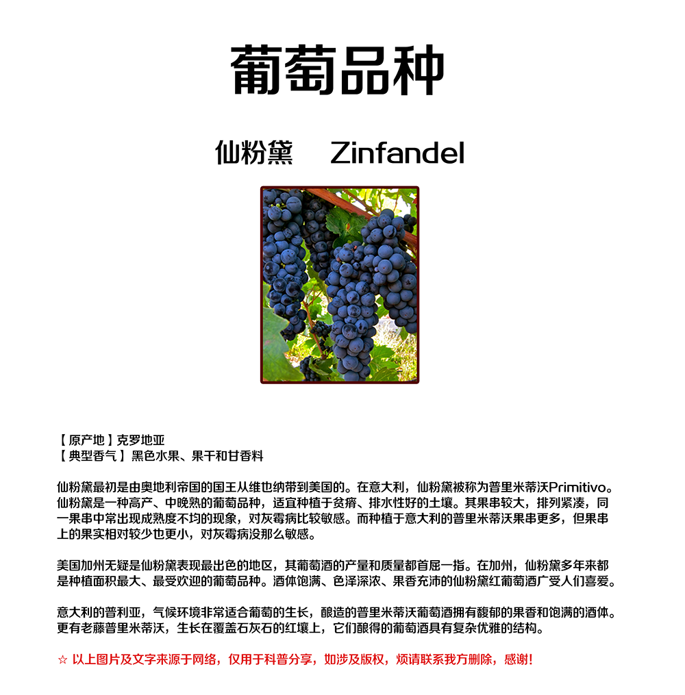 亚洲人午夜射精精品日韩