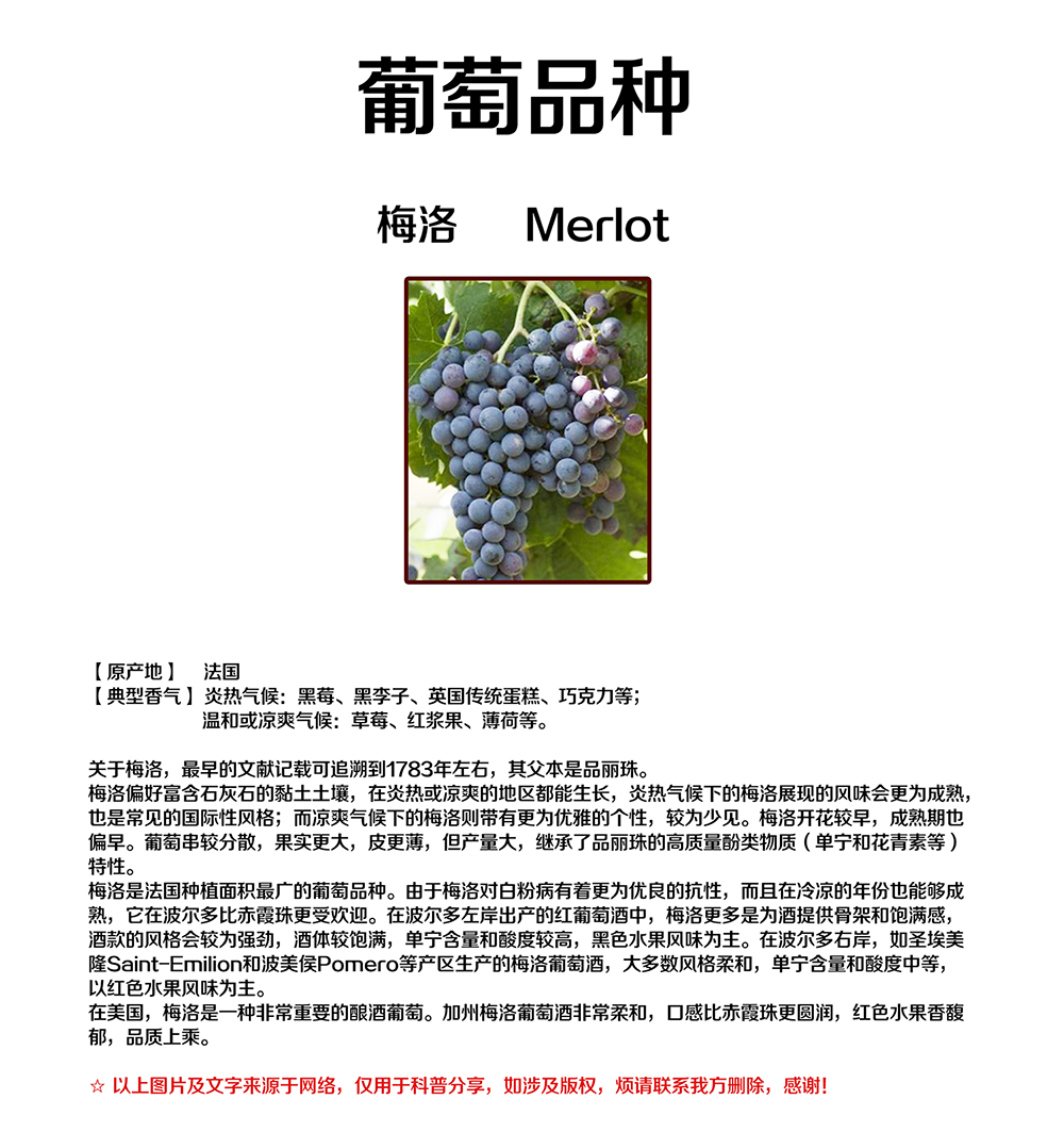 亚洲人午夜射精精品日韩
