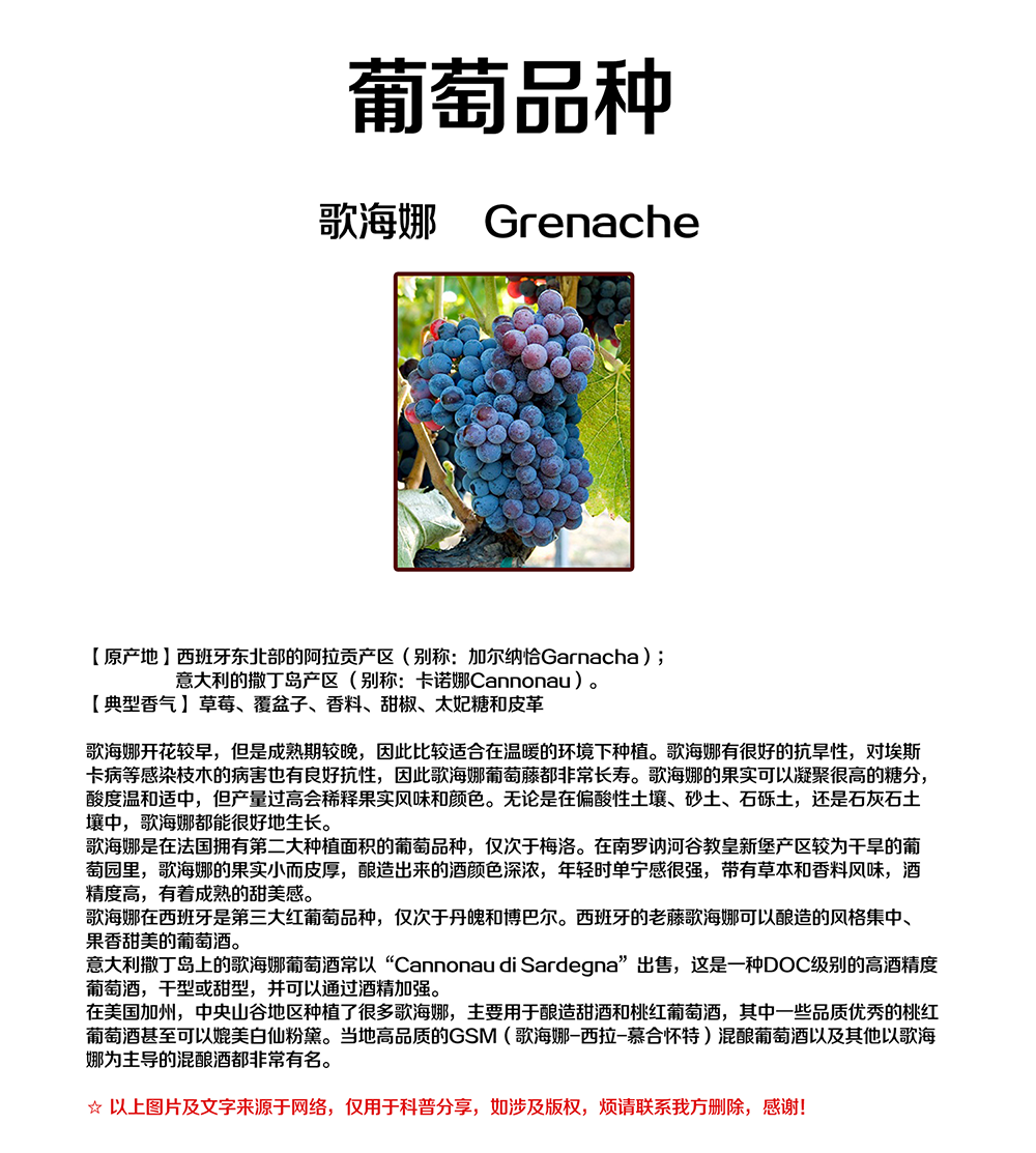 亚洲人午夜射精精品日韩
