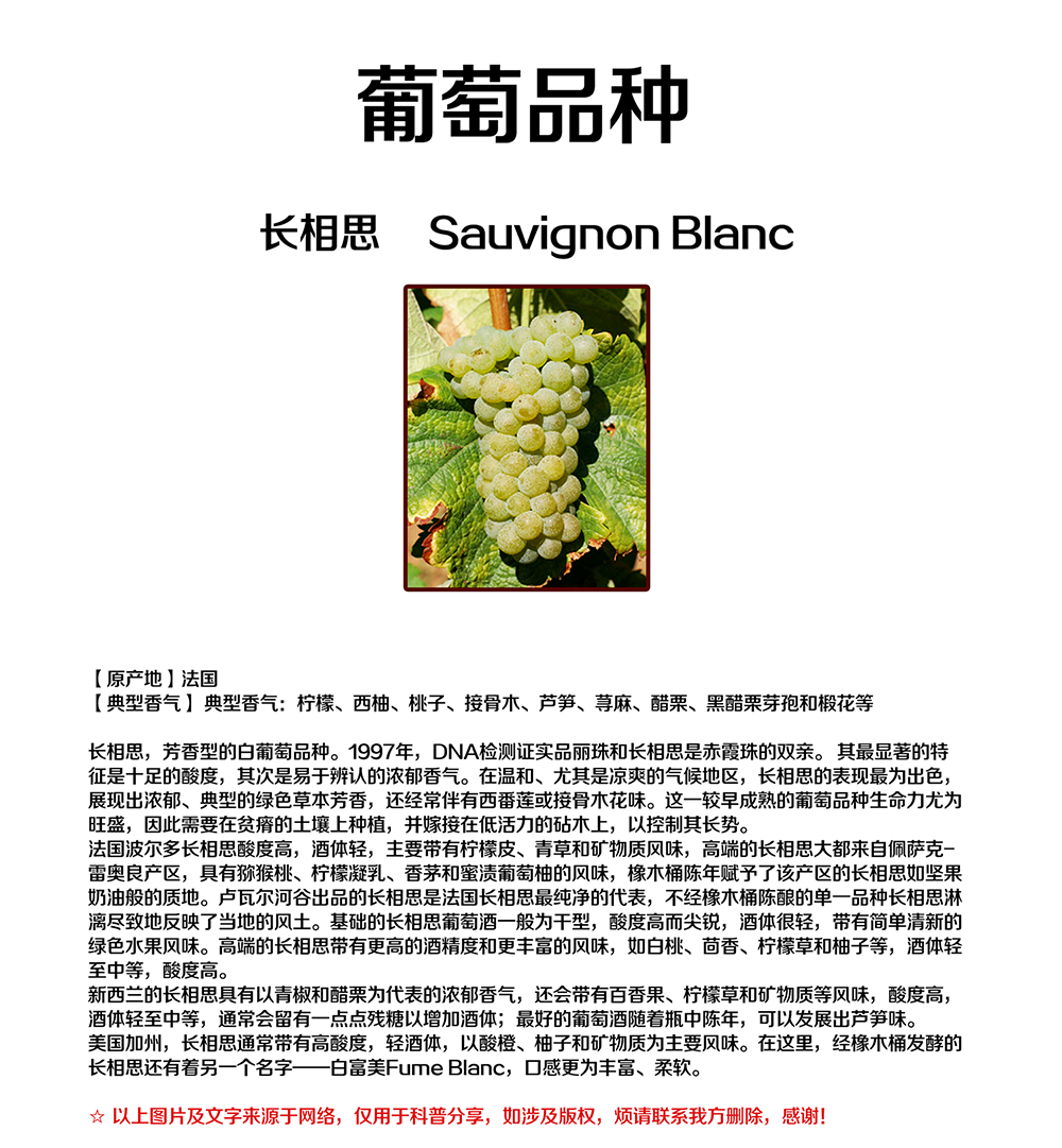 亚洲人午夜射精精品日韩