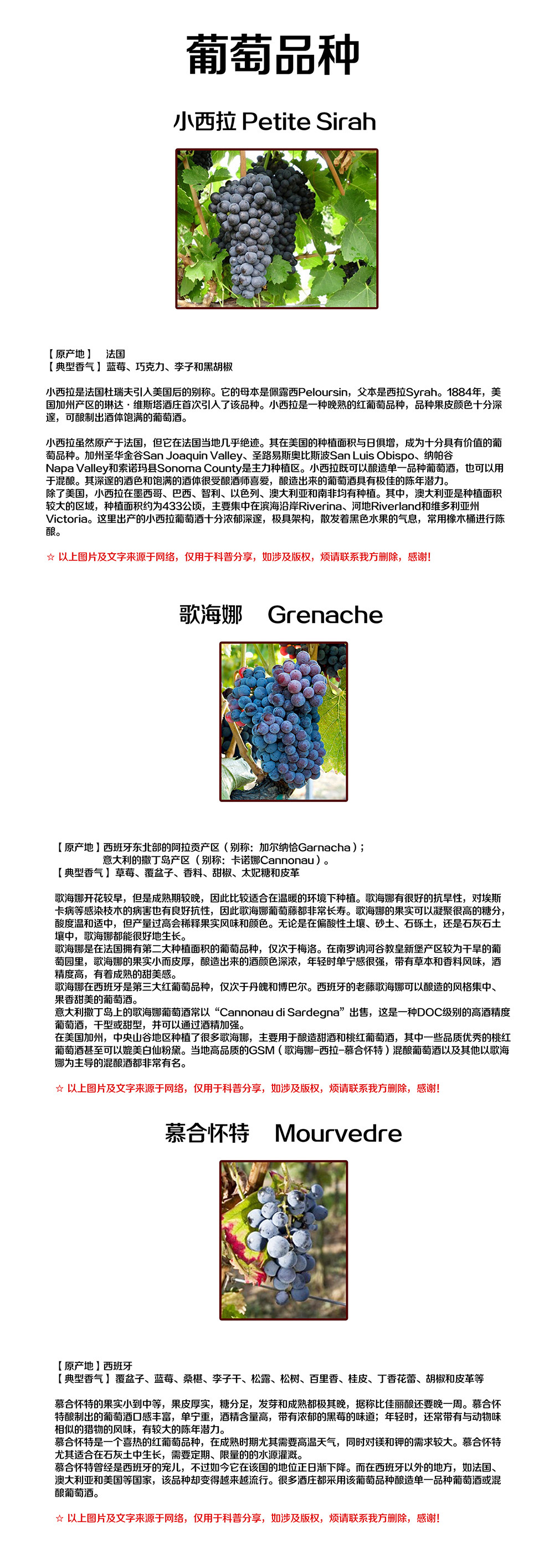 亚洲人午夜射精精品日韩