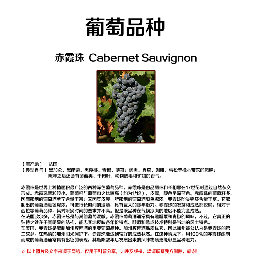 亚洲人午夜射精精品日韩