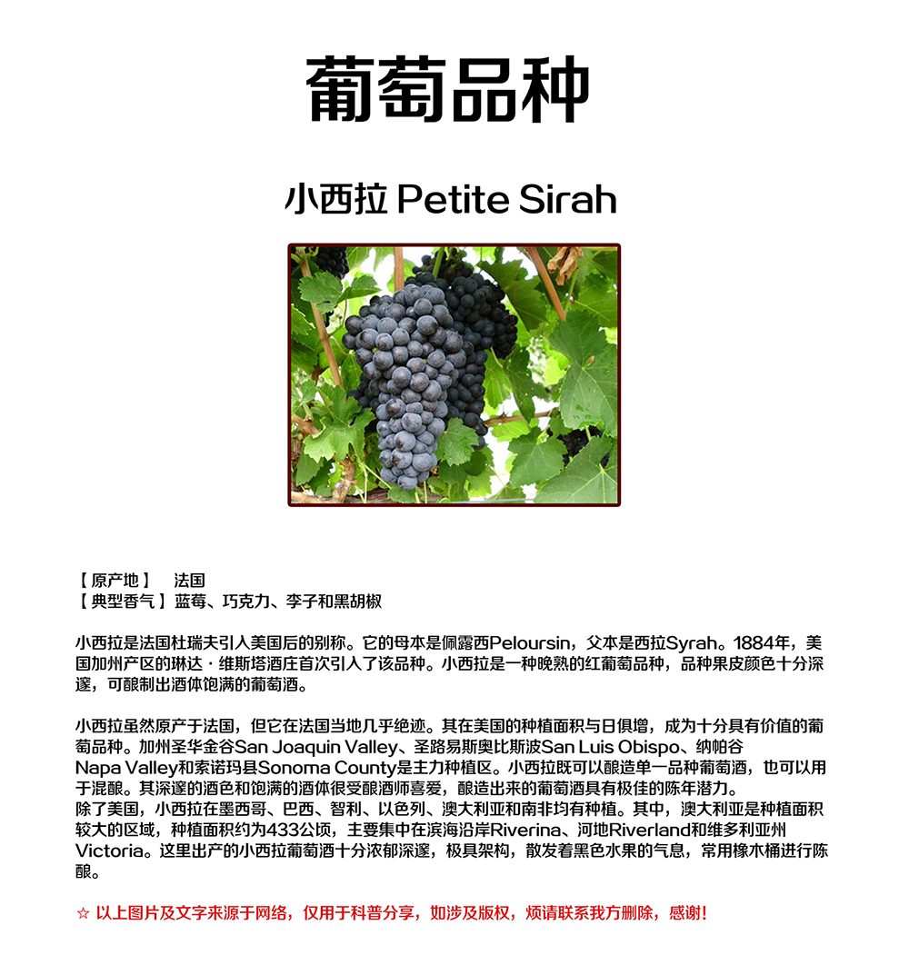亚洲人午夜射精精品日韩