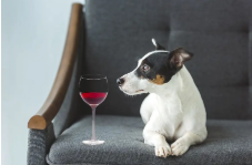 亚洲人午夜射精精品日韩