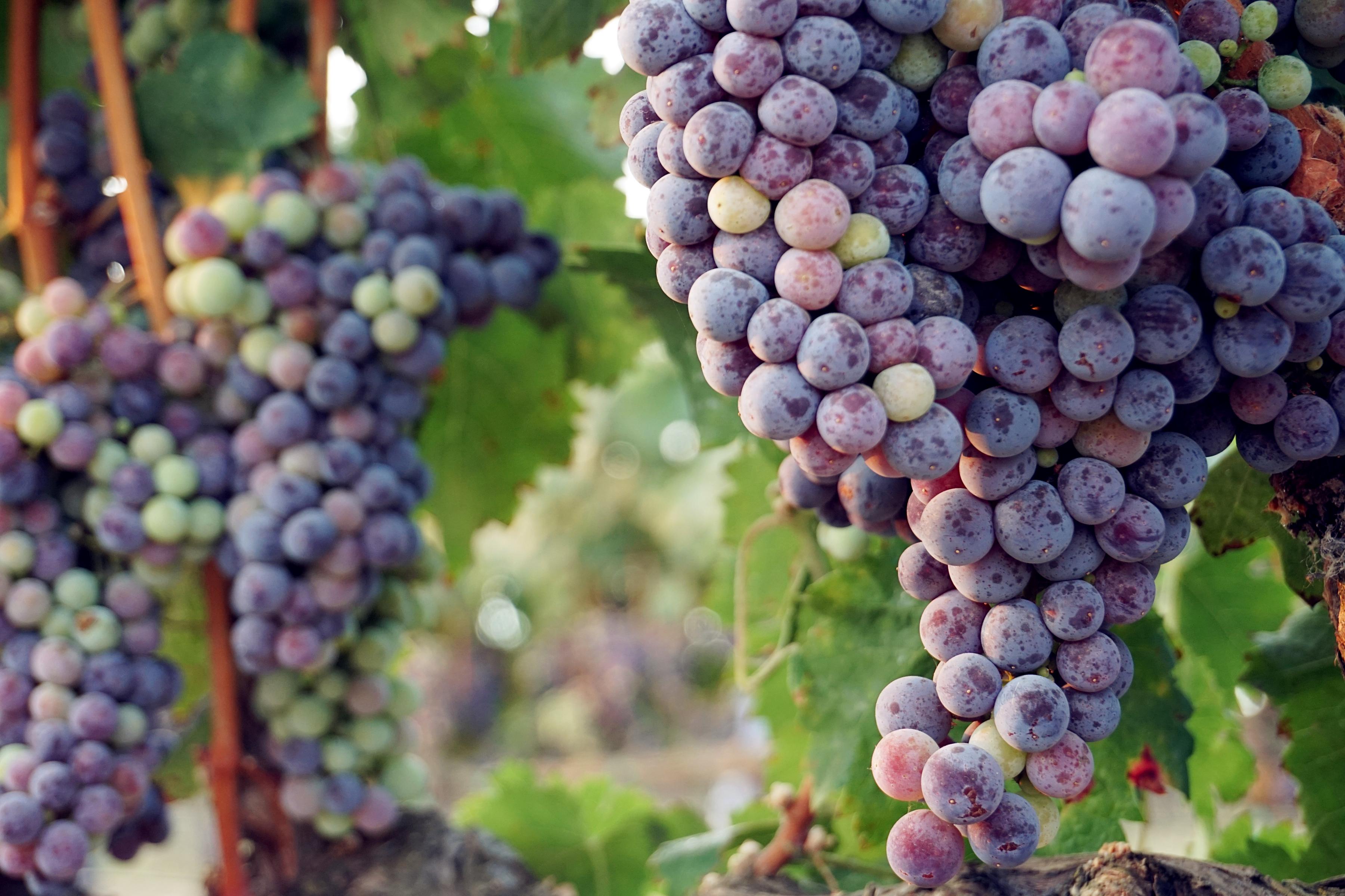 亚洲人午夜射精精品日韩