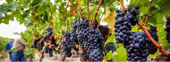 亚洲人午夜射精精品日韩