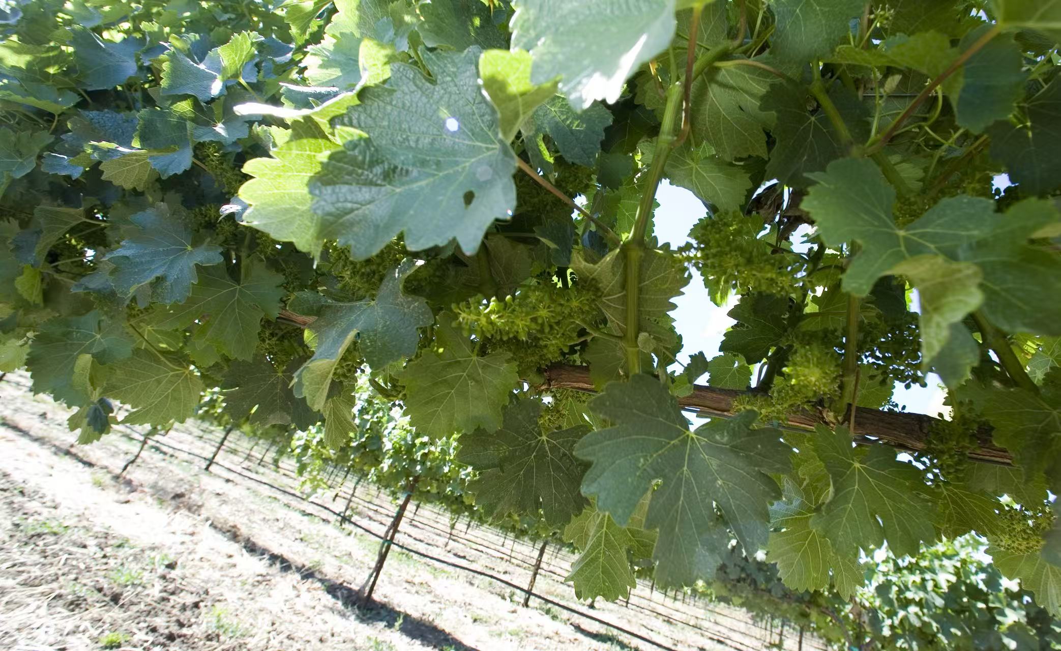 亚洲人午夜射精精品日韩