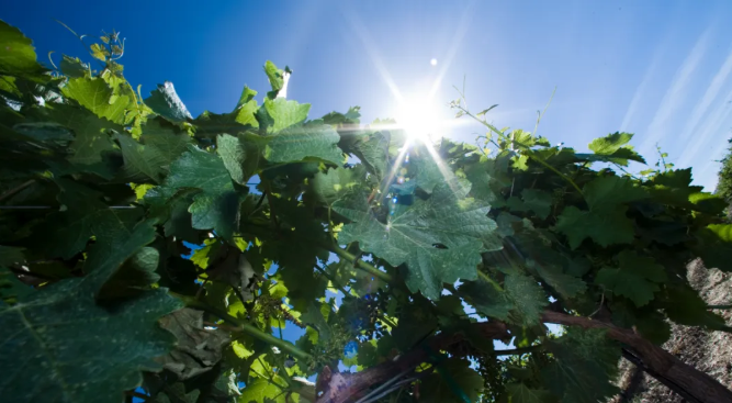 亚洲人午夜射精精品日韩