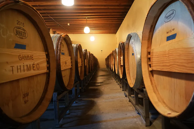 亚洲人午夜射精精品日韩