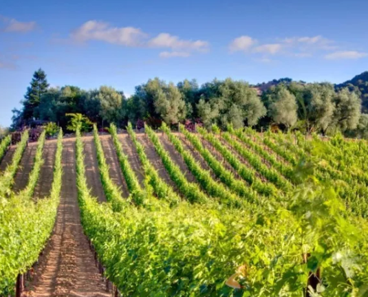 亚洲人午夜射精精品日韩