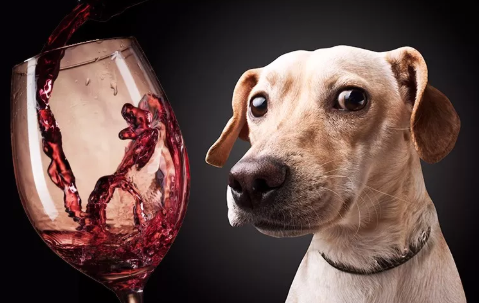 亚洲人午夜射精精品日韩