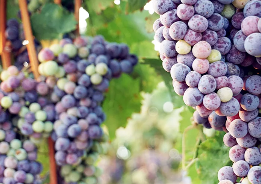 亚洲人午夜射精精品日韩