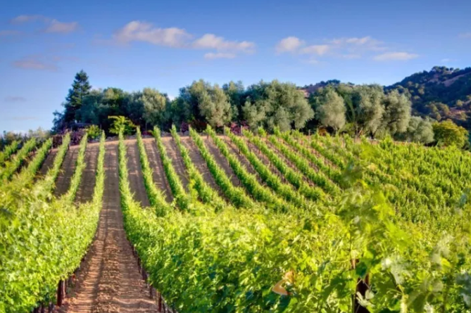 亚洲人午夜射精精品日韩