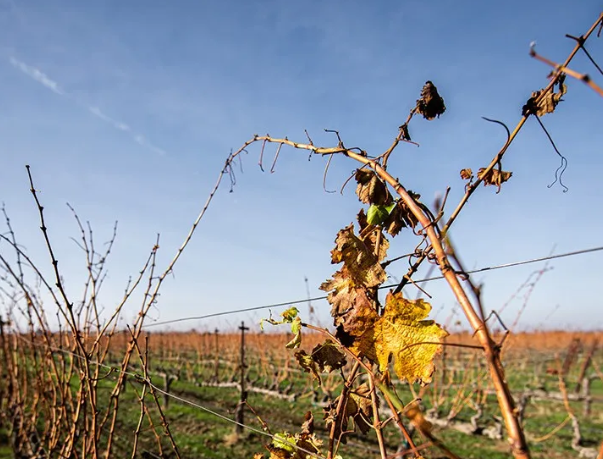 亚洲人午夜射精精品日韩